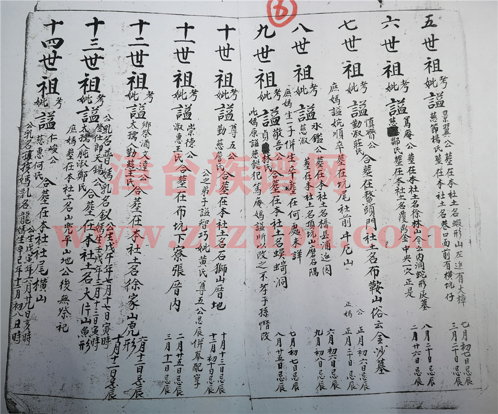 《陈氏族谱（浦林金沙村）》