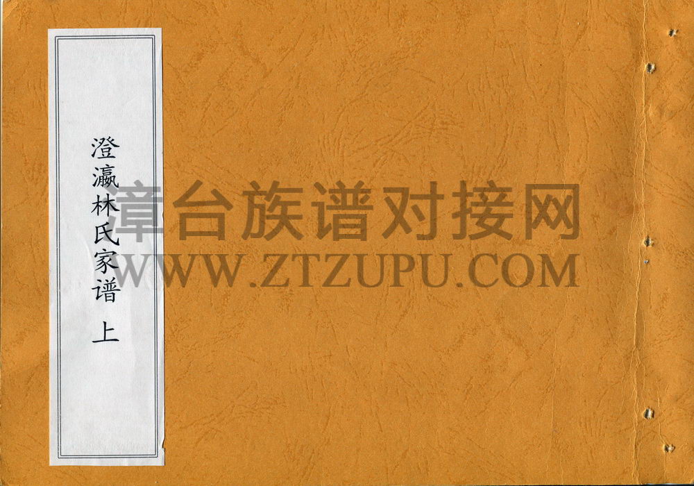 《澄瀛林氏家谱（上）》