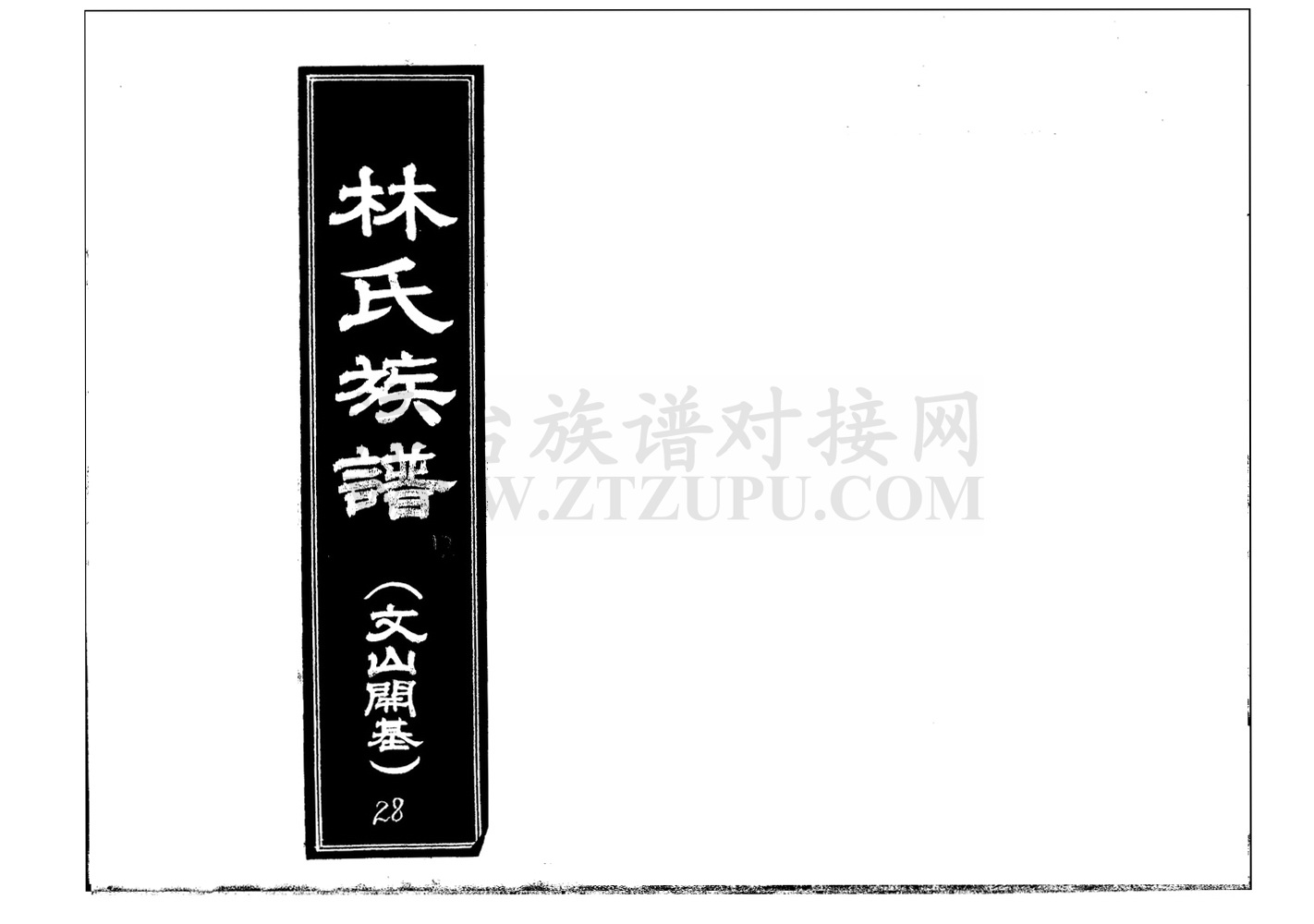 《林氏族谱（文山开基）》