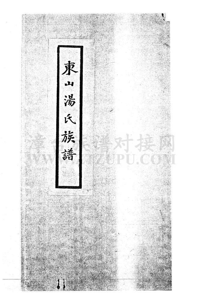《东山汤氏族谱》