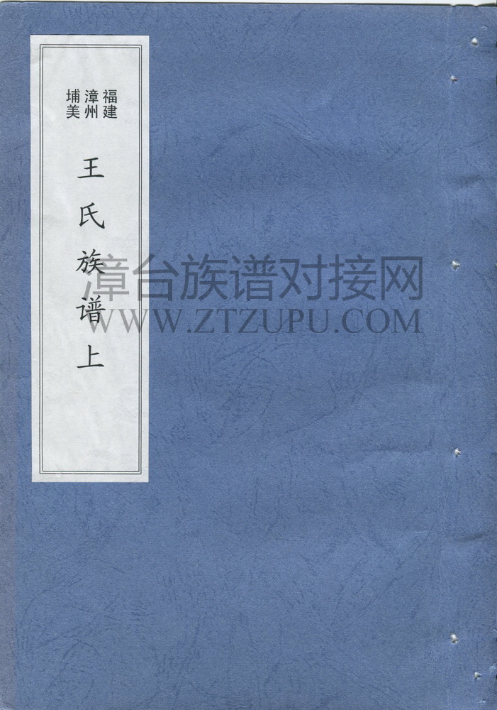 《漳州埔美王氏族谱（上）》