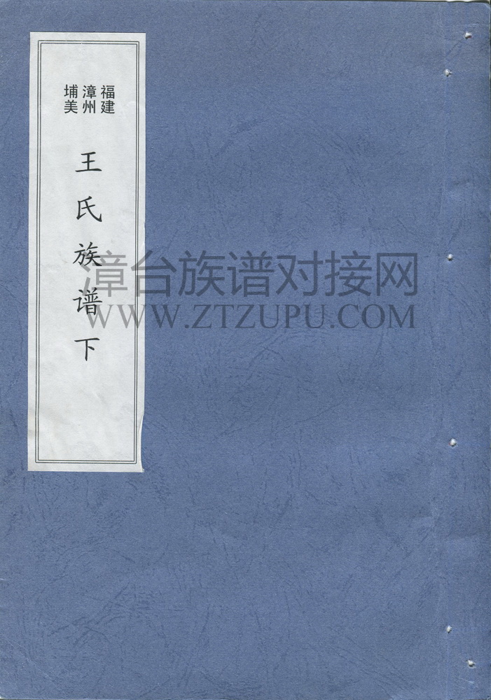 《福建漳州埔美王氏族谱（下）》