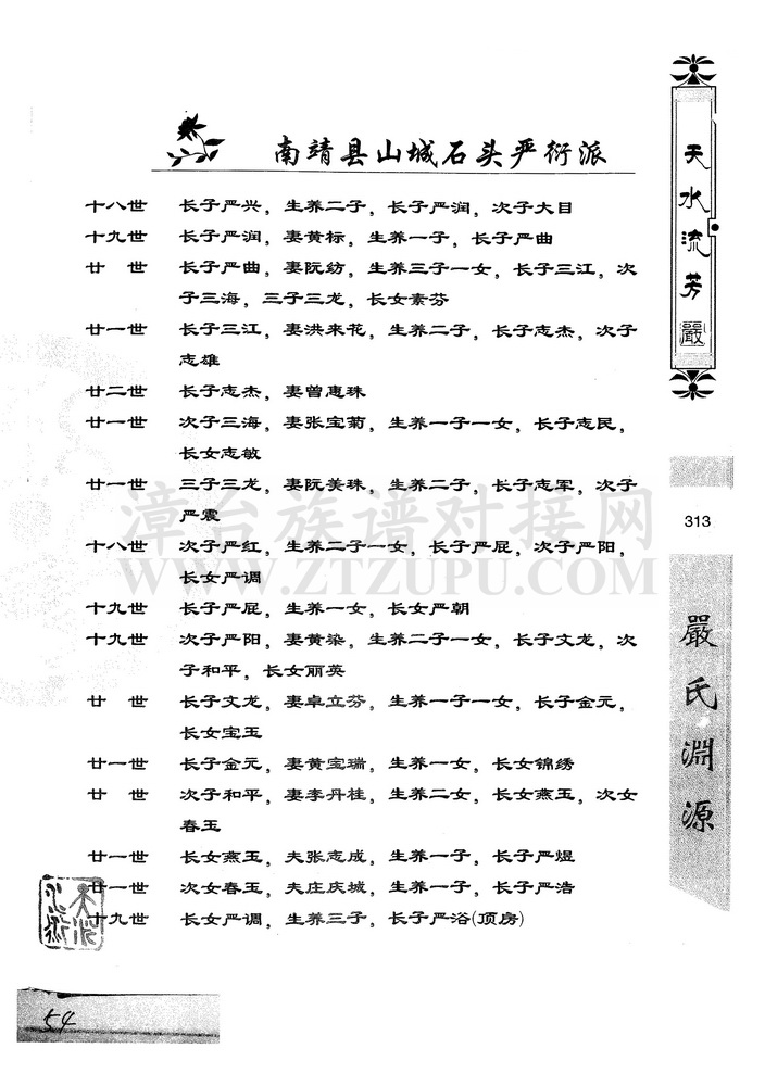 《南靖山边严氏族谱》