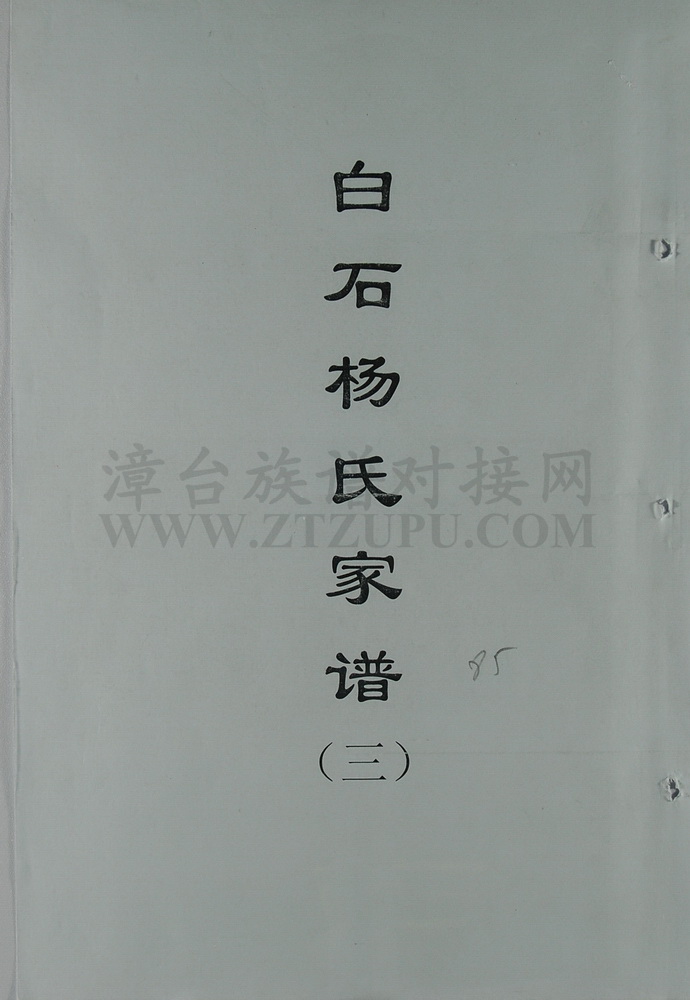 《白石杨氏家谱第三册（307－464页）》
