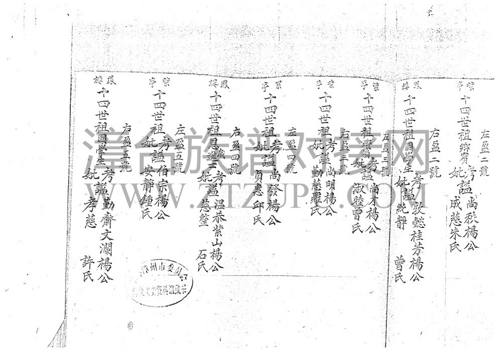 《漳州平和 道南堂杨氏族谱·下》