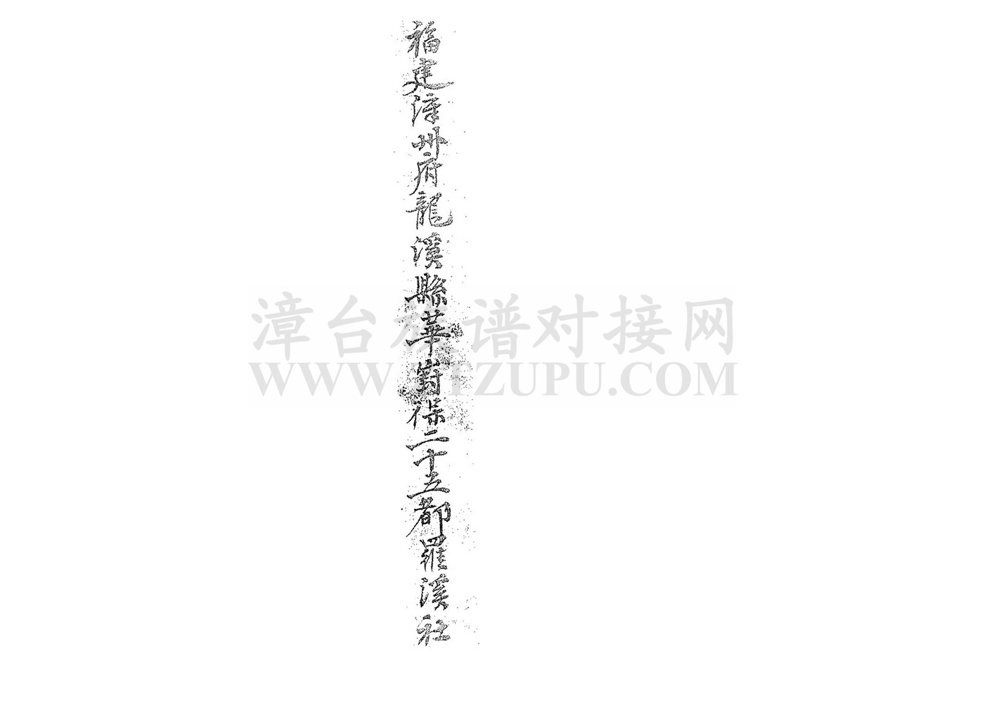 《福建漳州府龙溪县华丰保二十五都罗溪社》