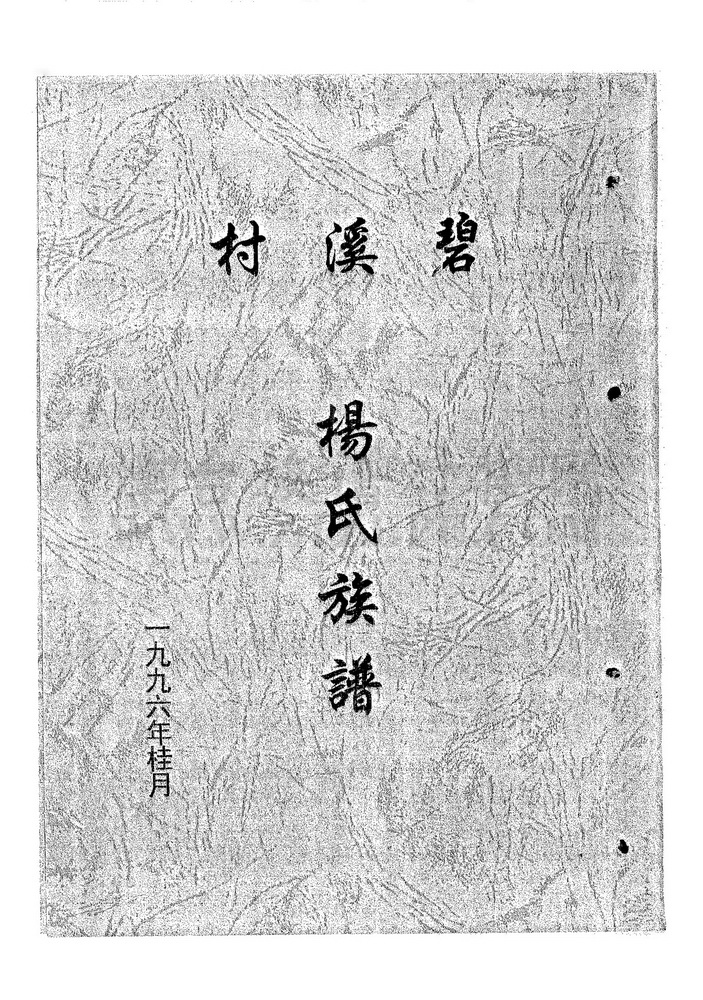 《碧溪村杨氏族谱》