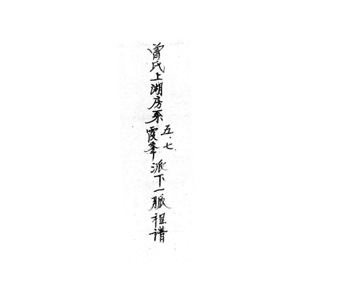 《平和县曾氏上湖房系霞夆五、七派下一脈祖谱》