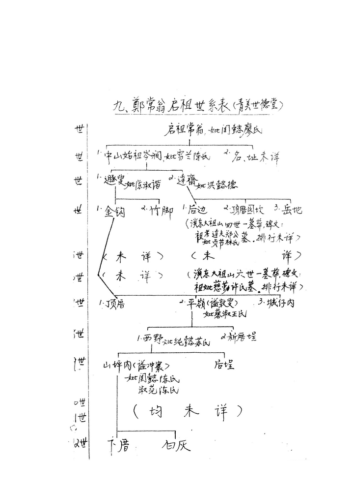 《青美郑氏源流（1326～1995）》