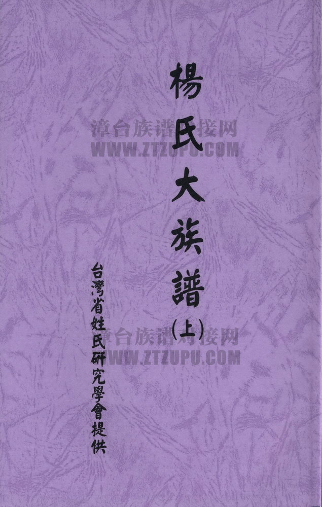 《杨氏大族谱（上）》