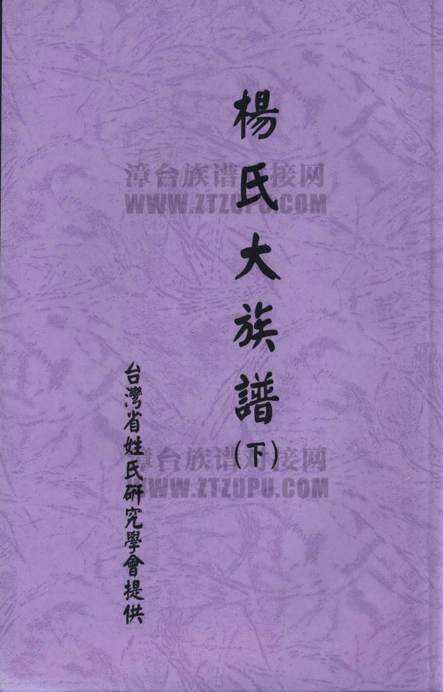 《杨氏大族谱（下）》